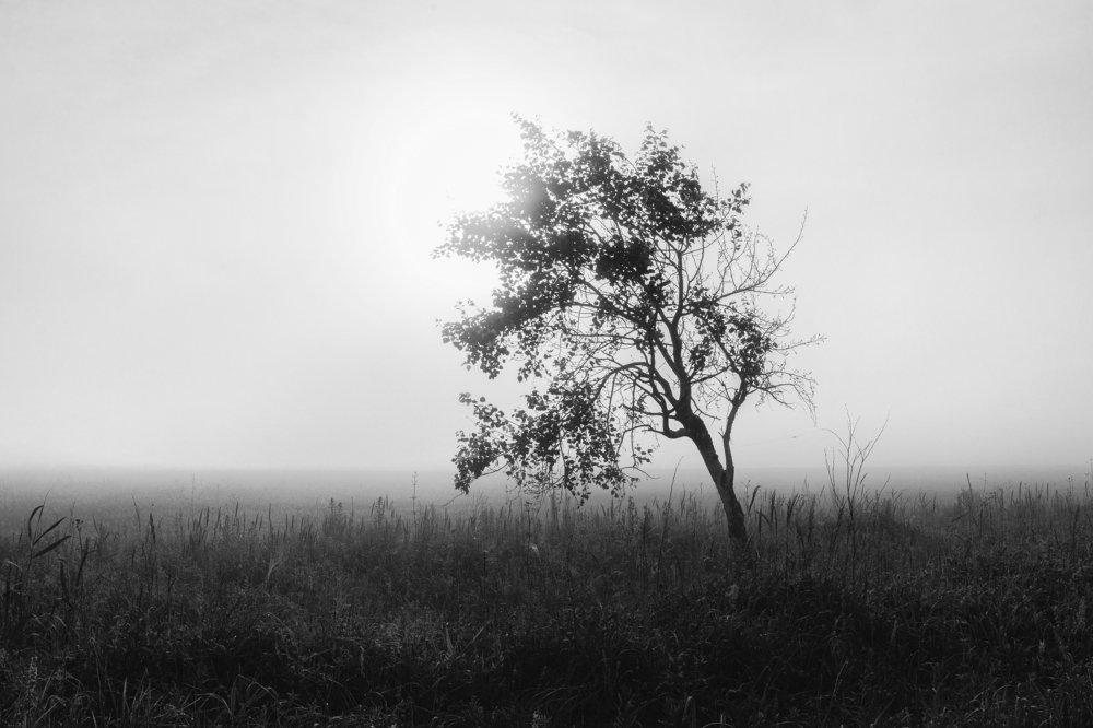 Photograph by Максим Сиротинин