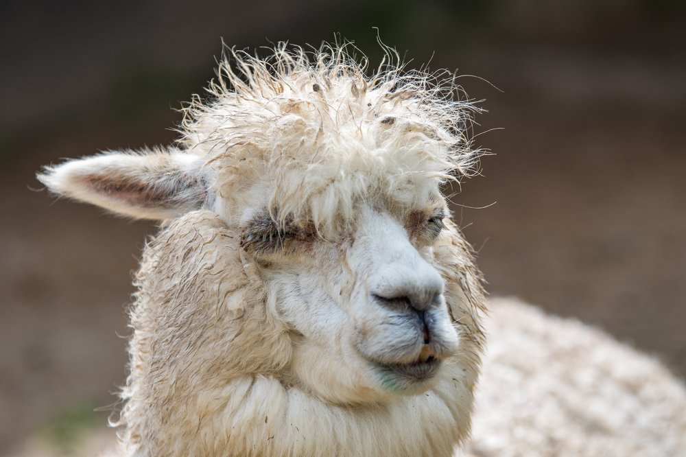 Photograph by Демьян Лопатов