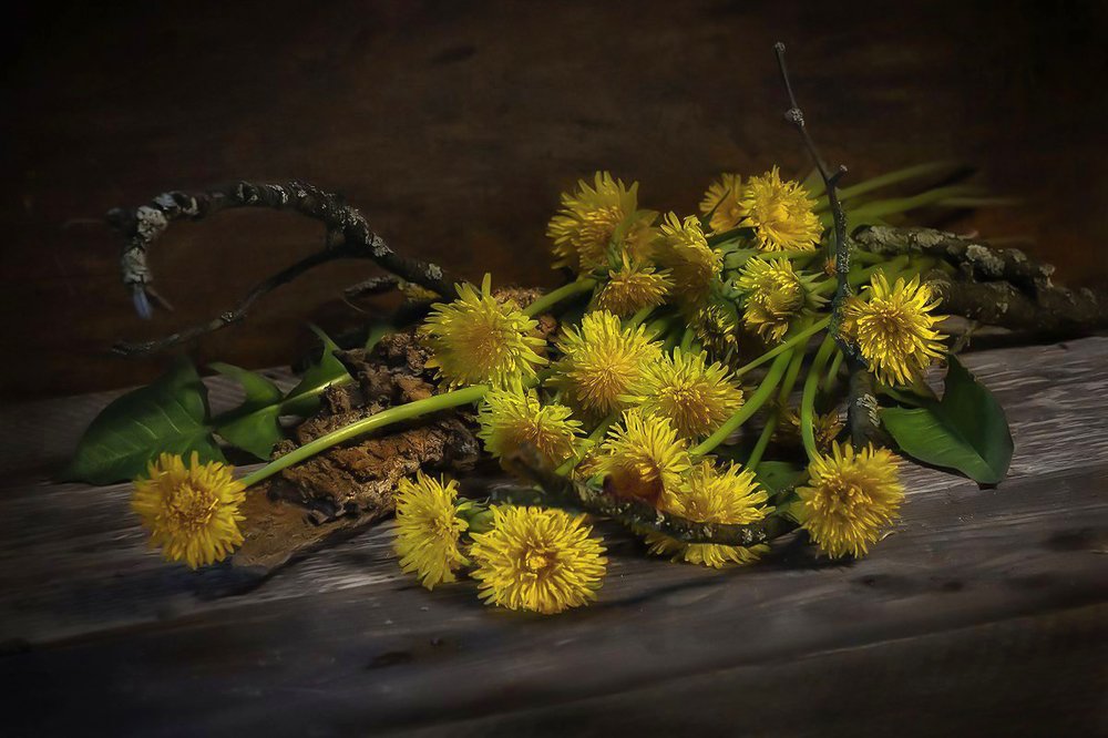 Photograph by Tatiana Kanevskaya