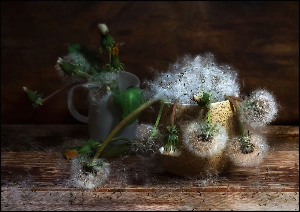 Photograph by Tatiana Kanevskaya