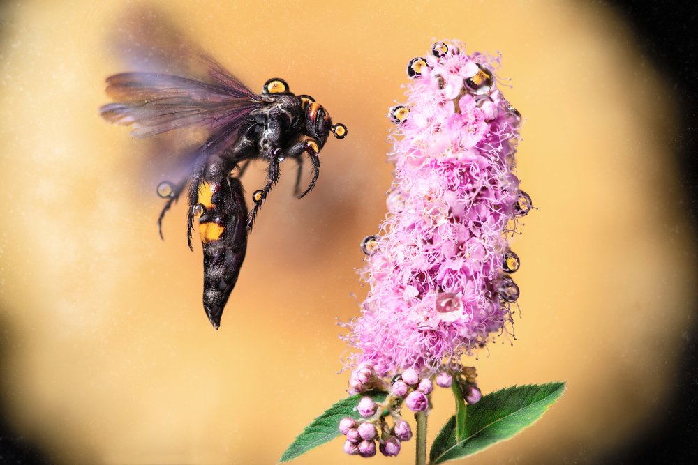 Photograph by Алексей Карпинчик