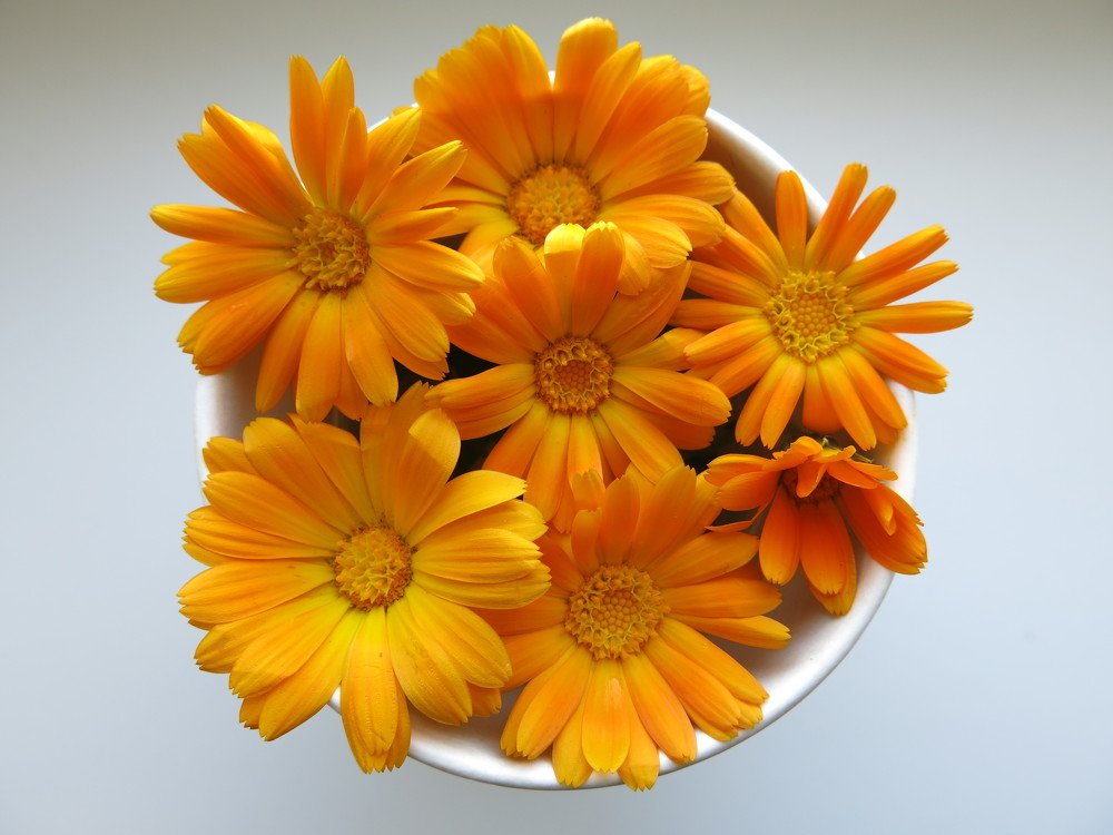 Photograph by ЭЛЬМИРА  ИСМАИЛОВА