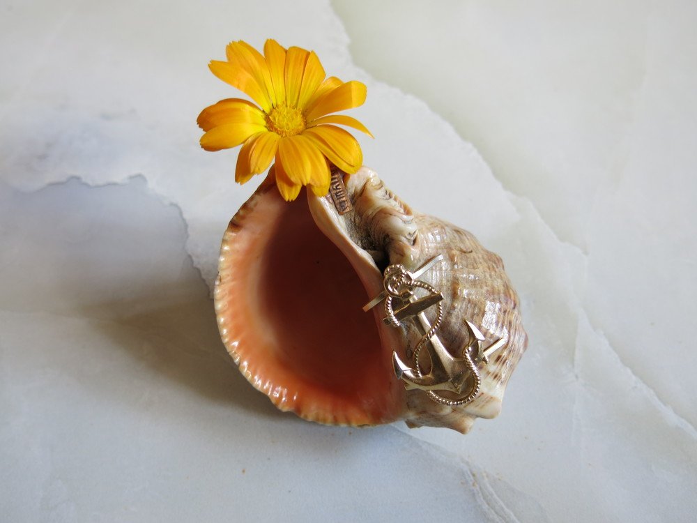 Photograph by ЭЛЬМИРА  ИСМАИЛОВА