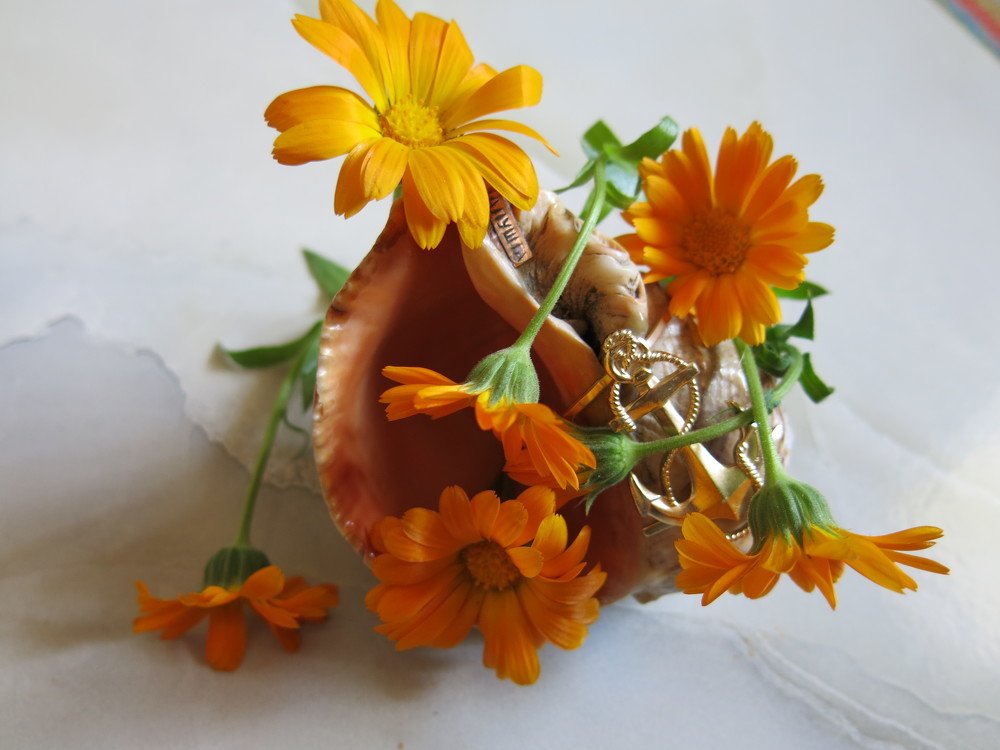 Photograph by ЭЛЬМИРА  ИСМАИЛОВА