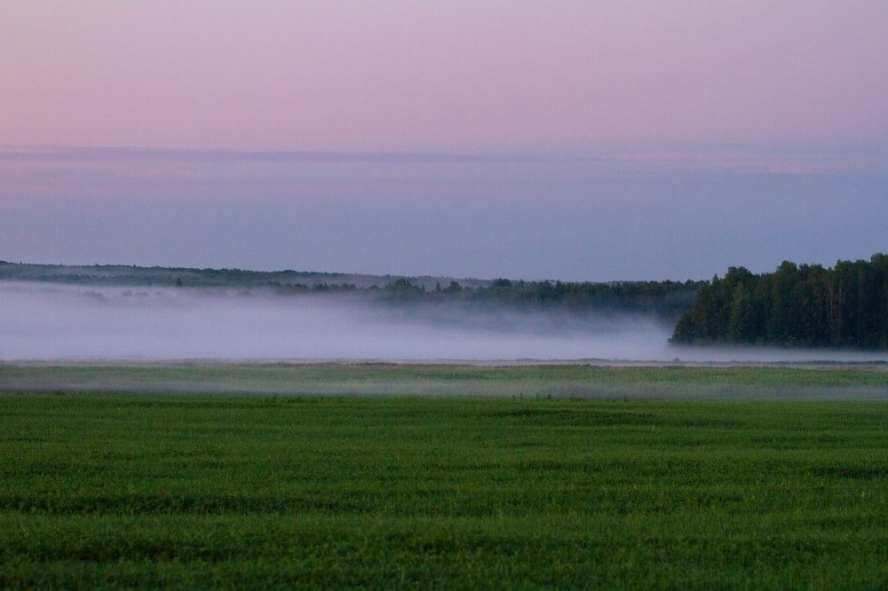 Photograph by Таня Короткова