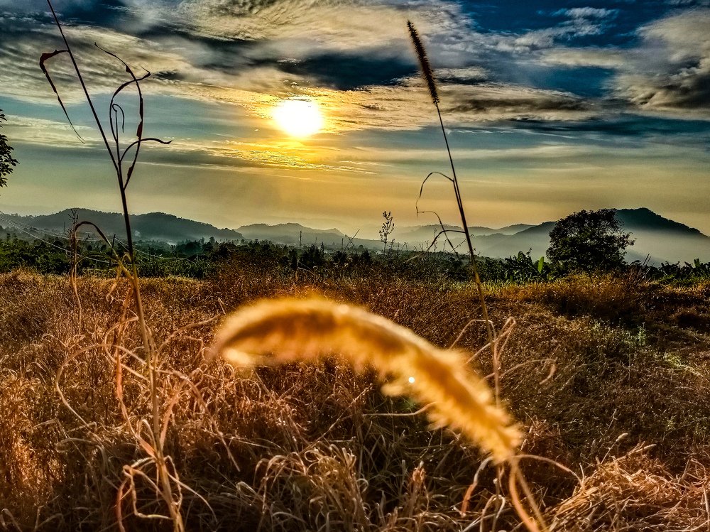 Photograph by Mertha apsari