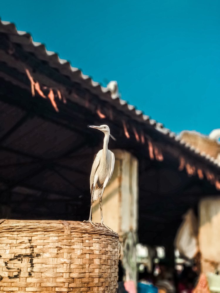 Waiting for a fish to be my food