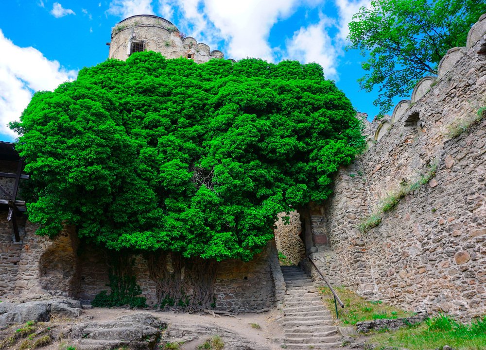 Photograph by Artem Yeltsov