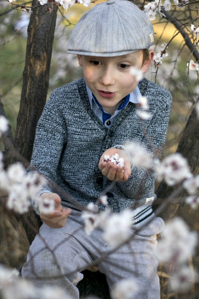 Цветение весны.
