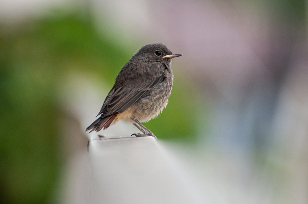 Photograph by Александр Алексеев