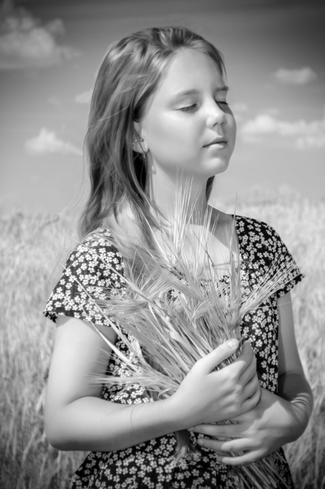 пшеничное поле