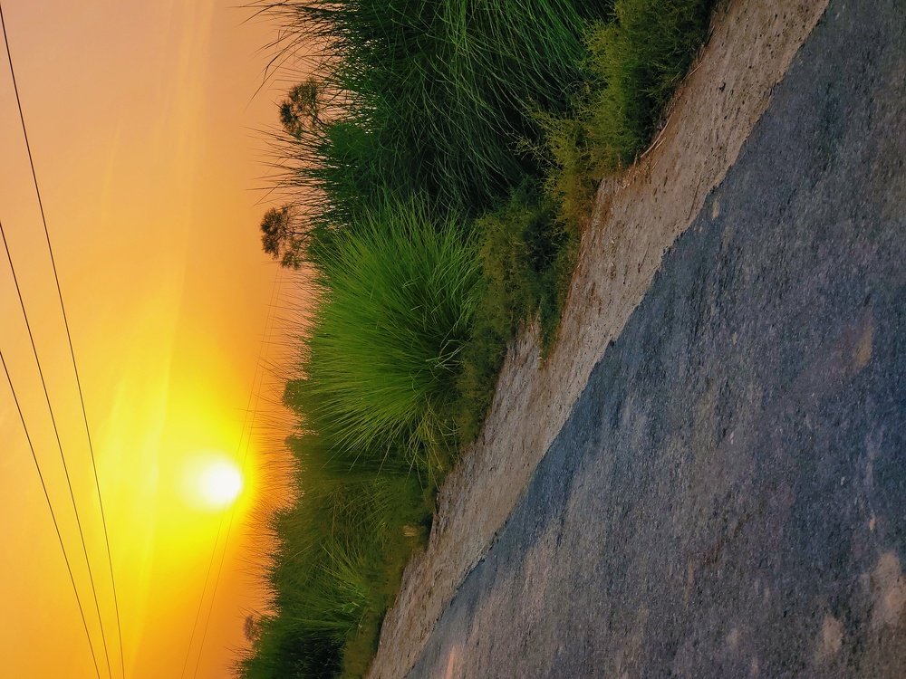 Photo #4859985