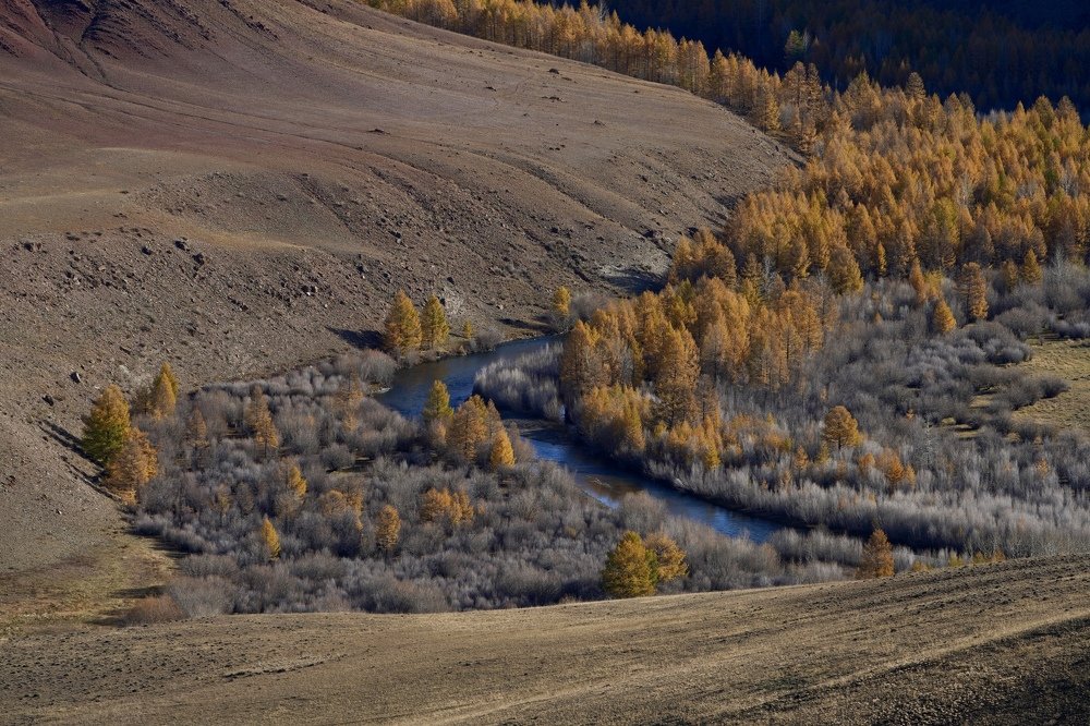 Photograph by Андрей Кузнецов