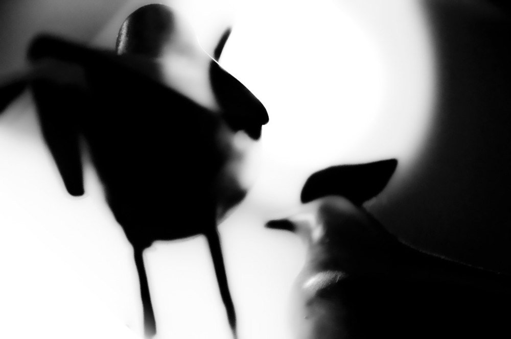 Photograph by Mahdieh Katouzian -