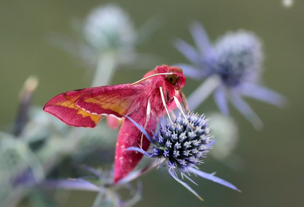 Photograph by Анна