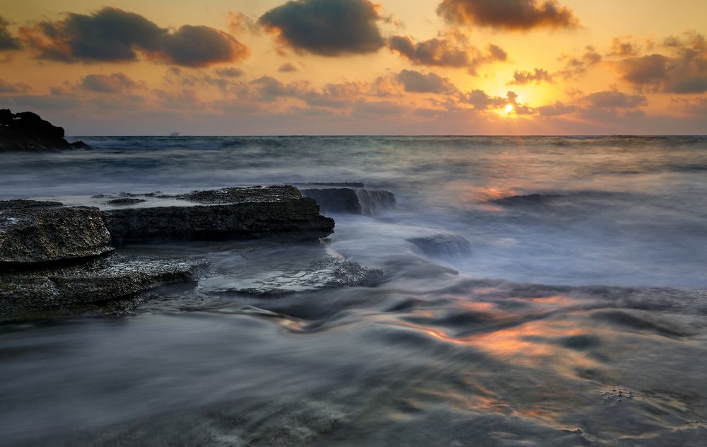 Photograph by 