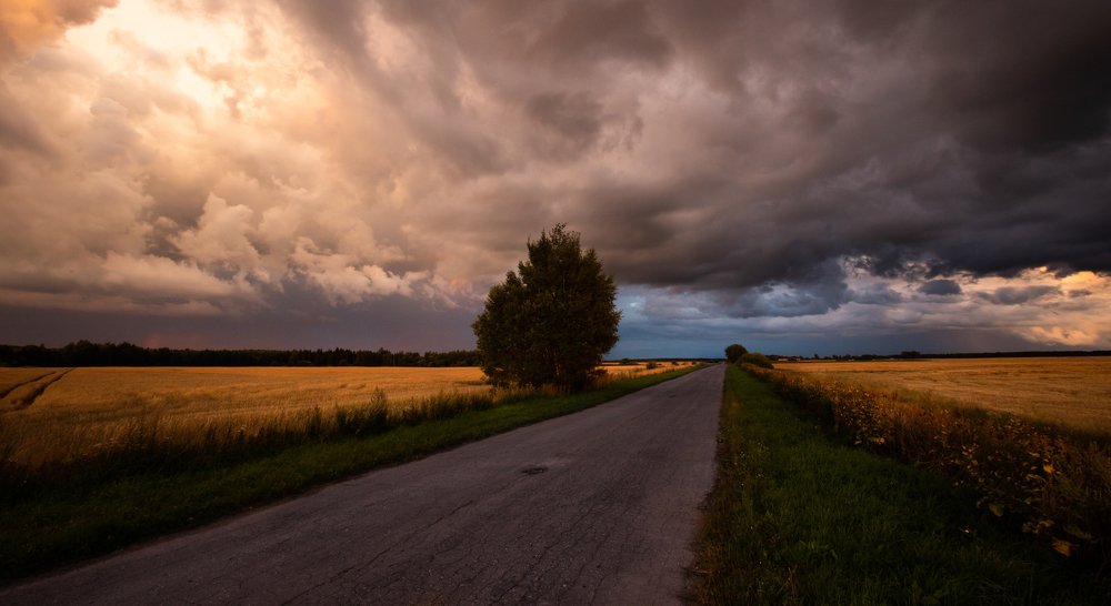 Photograph by Алексей Солоухин