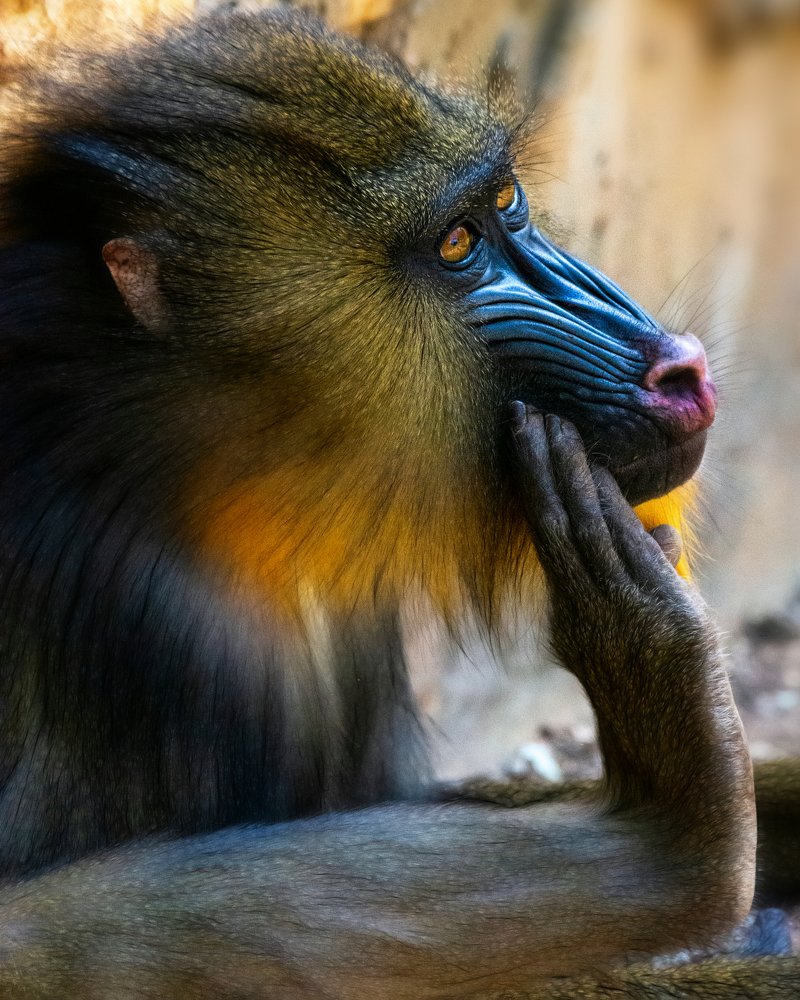 Photograph by David Lerer