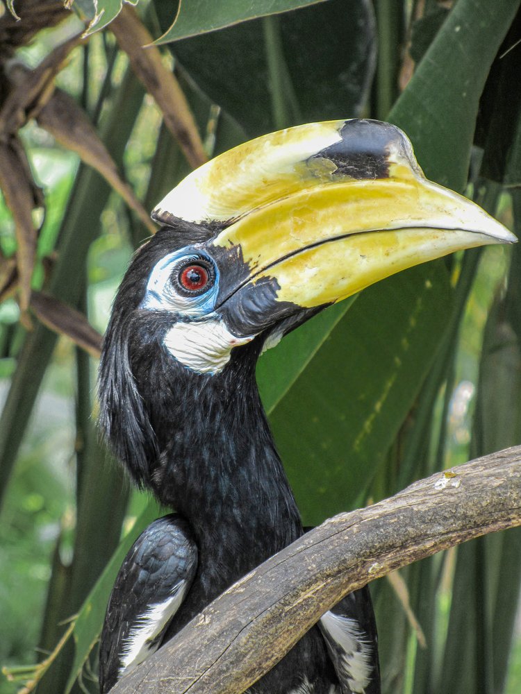 Photograph by Albert Maramis