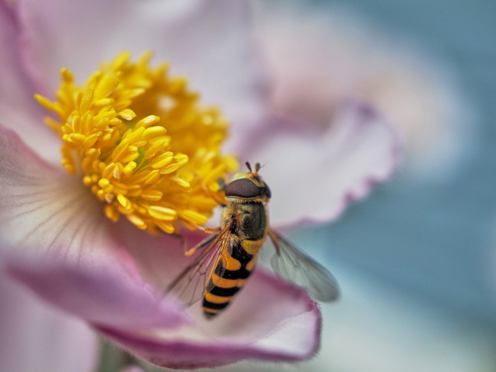 Фотография автора Сергей Леденёв