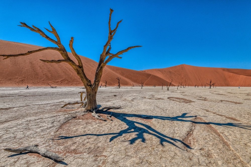 Photograph by Дмитрий Ильин