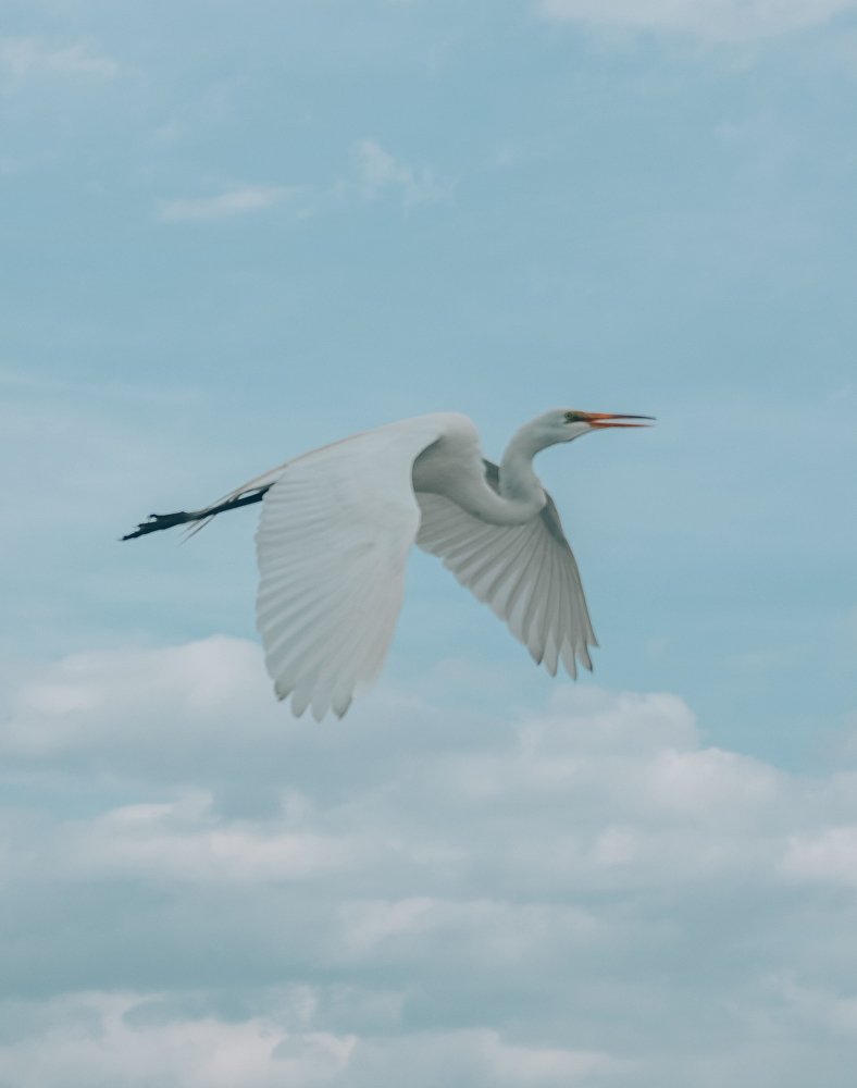 Photograph by Alisa Bryz-Gornia