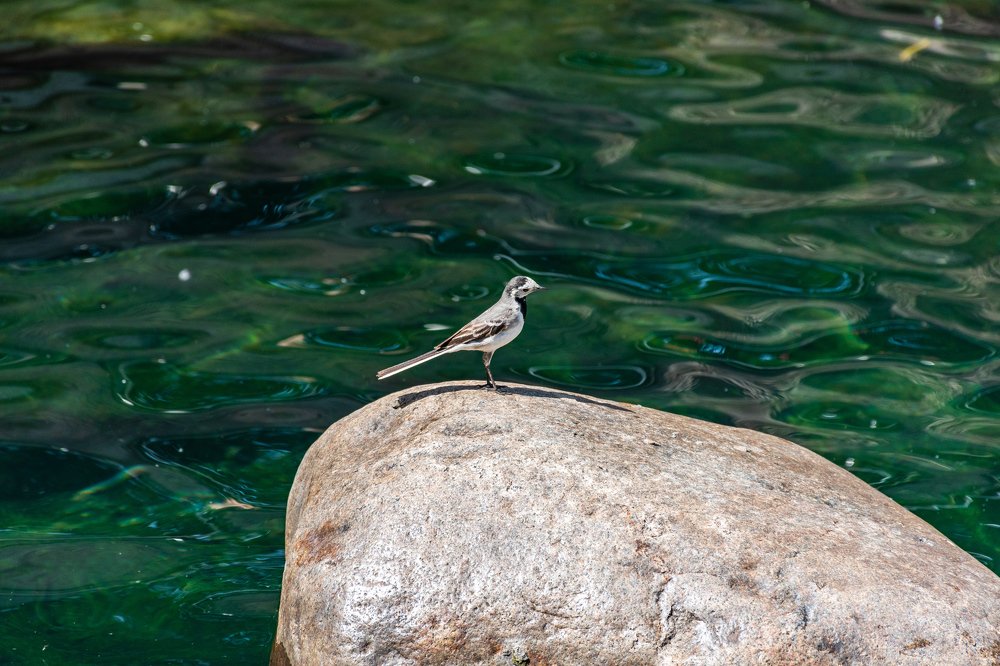 Photograph by Валерий Петухов