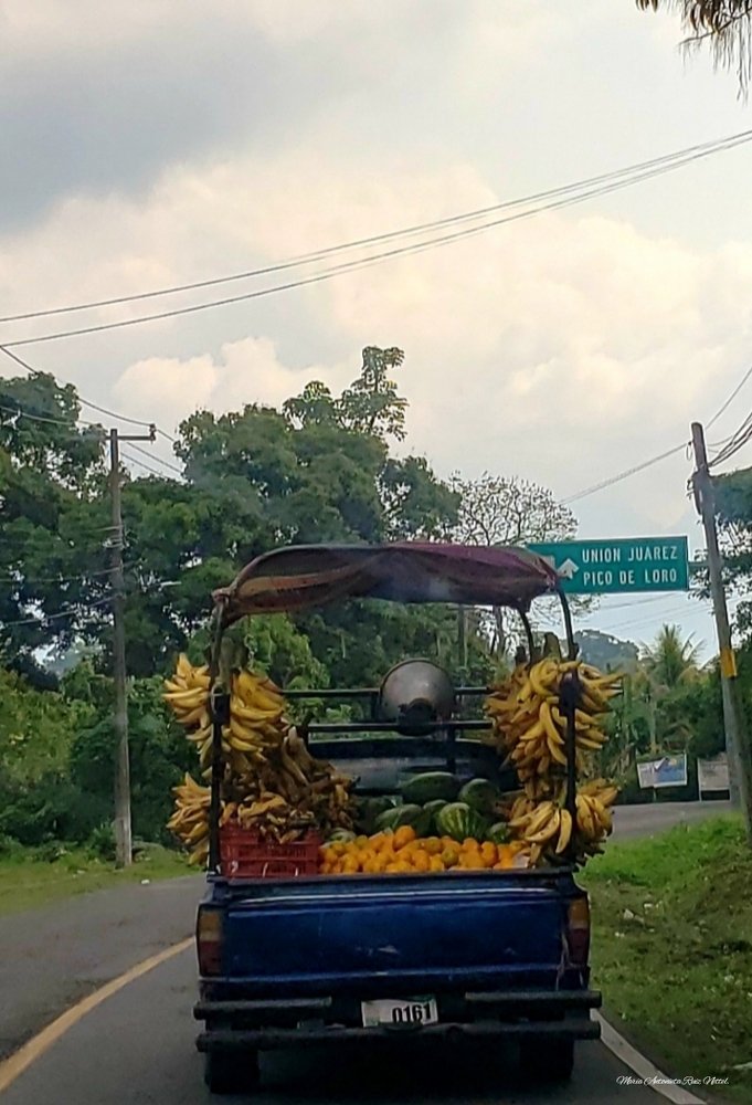 Mercado sobre ruedas.