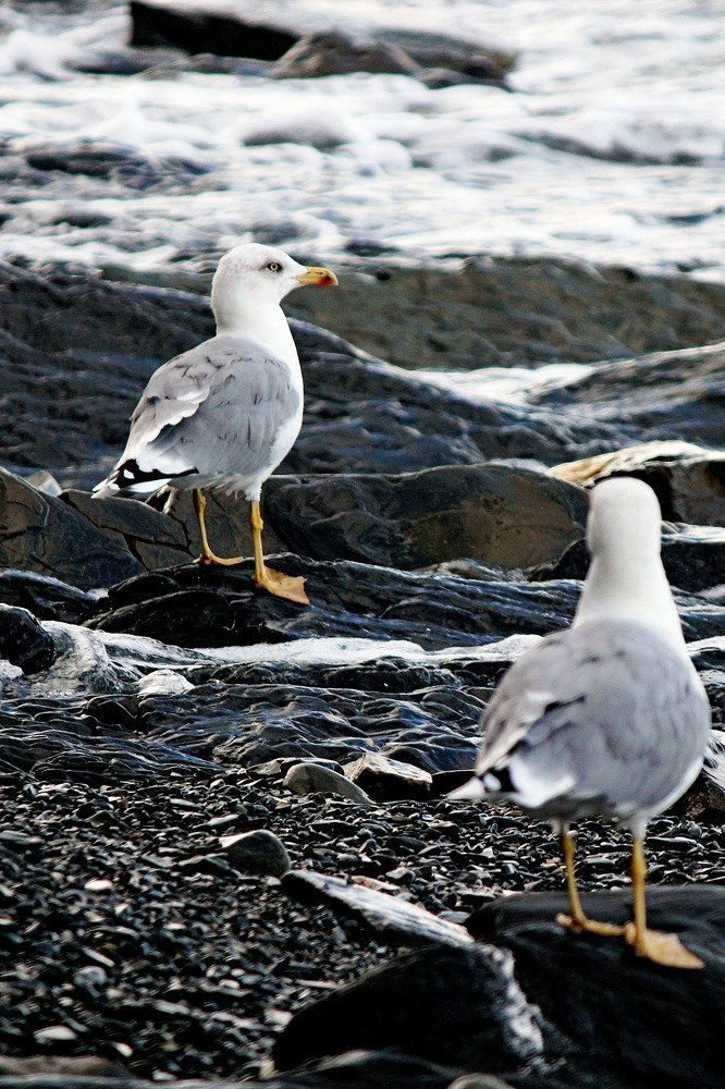 Photograph by Александр Бугаенко
