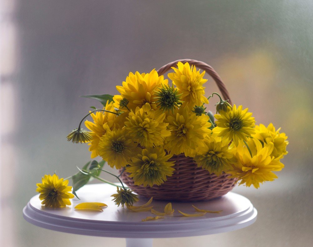 Photograph by Александра Шайдурова