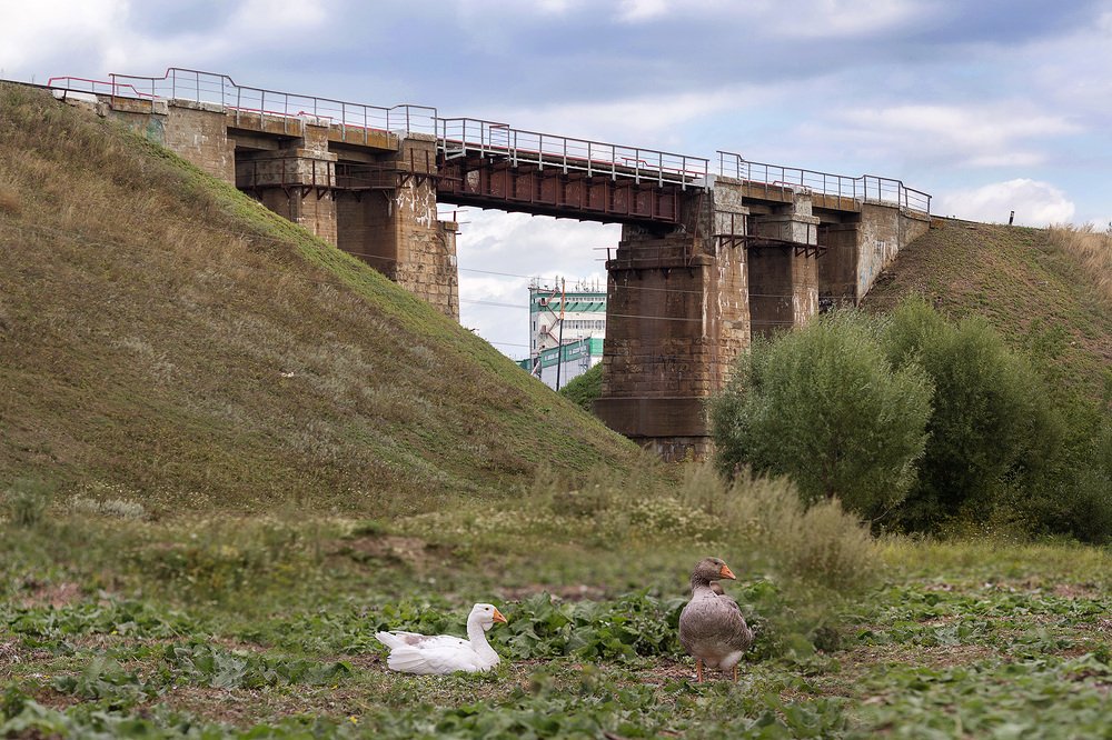 Photograph by Anna Chizh