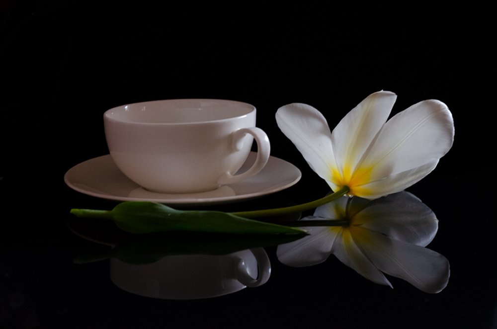 С белым тюльпаном