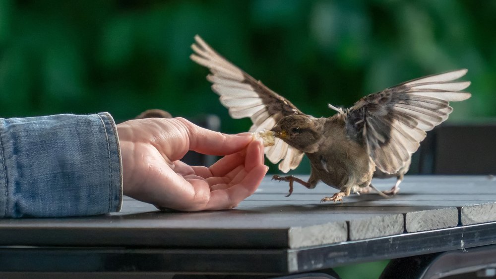 Photograph by Artem Khazov