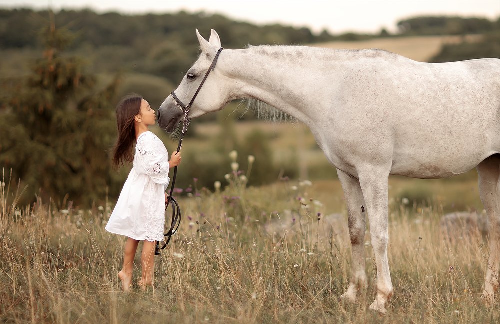 Фотография автора Александр Калинин