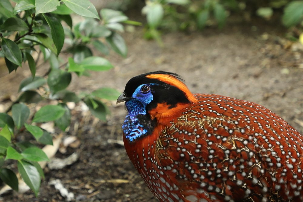 Photograph by Olga Oginskaya