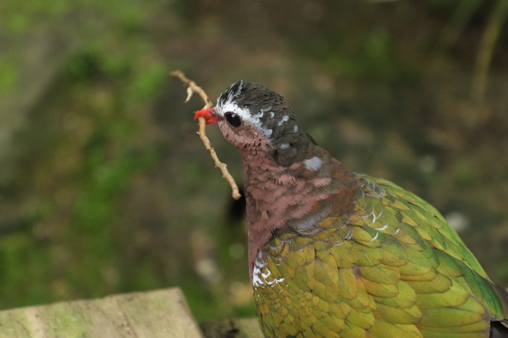 Photograph by Olga Oginskaya