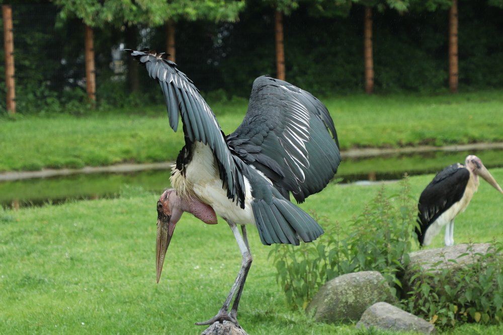 Photograph by Olga Oginskaya