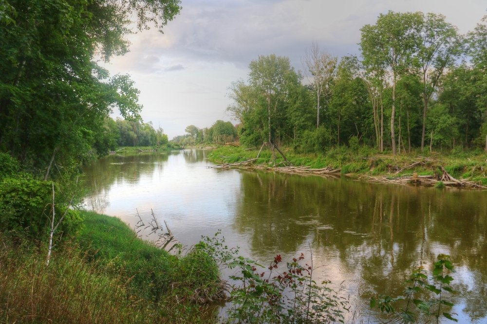 Photograph by Anna Banasiak