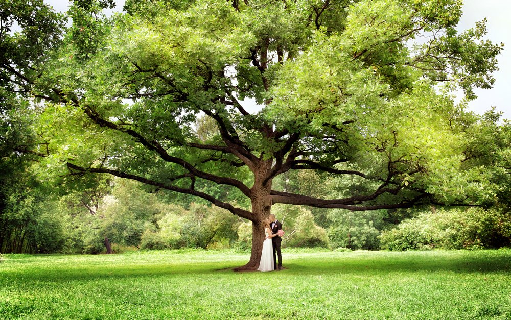 Photograph by Оля Ветрова