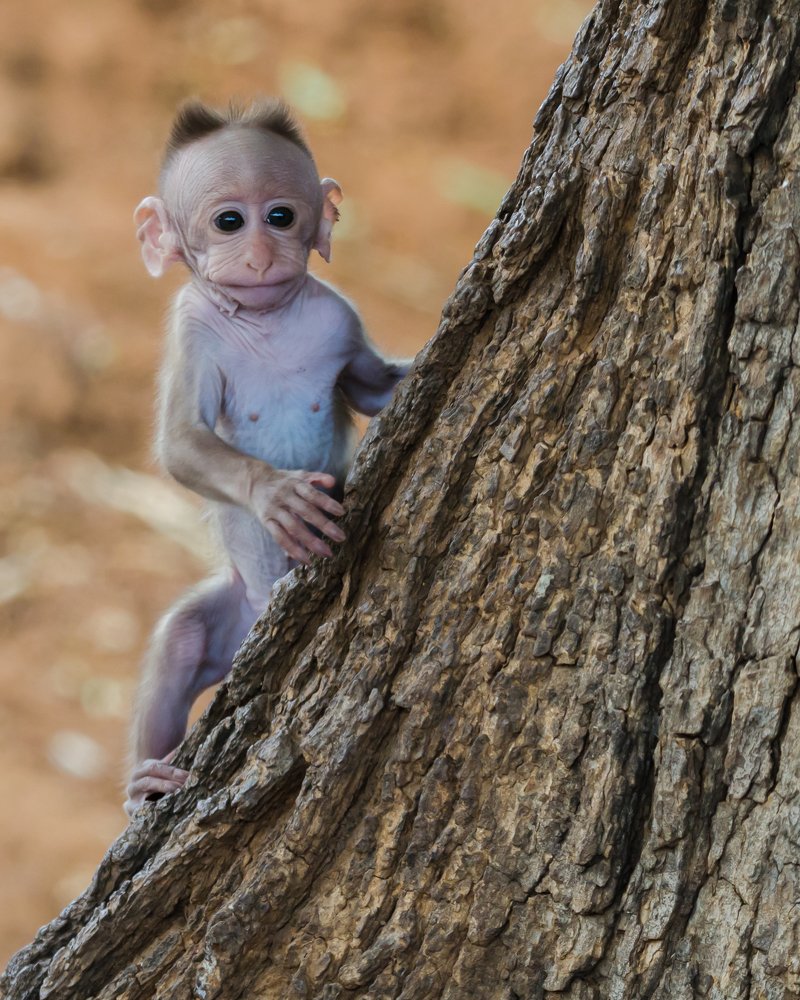 Photograph by James David Raj