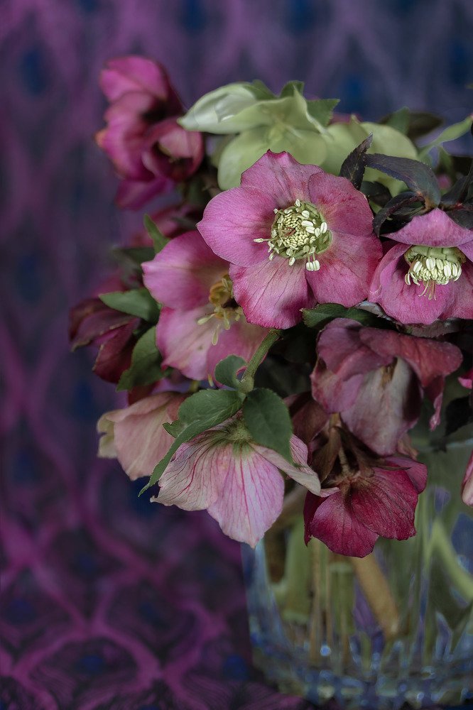 Photograph by Tamar Riabukha