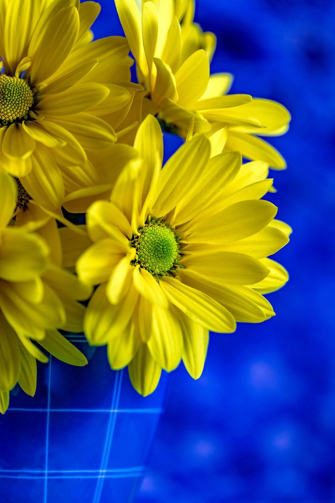 Photograph by Tamar Riabukha