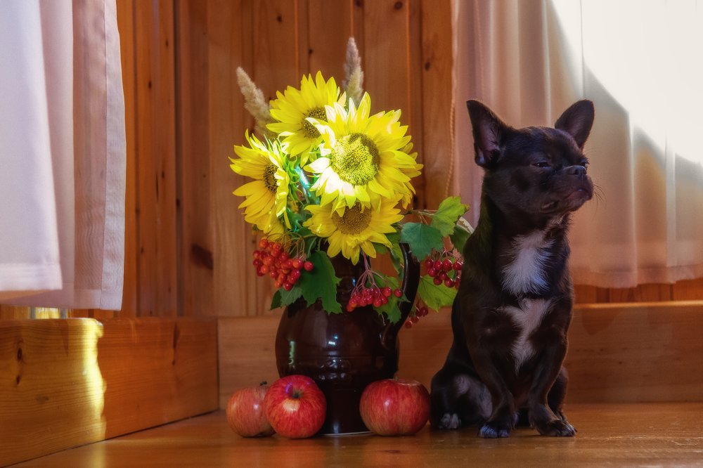 Photograph by Демьян Лопатов