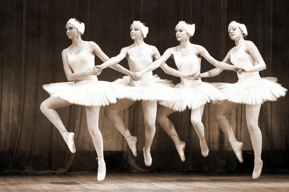 Маленькие лебеди.