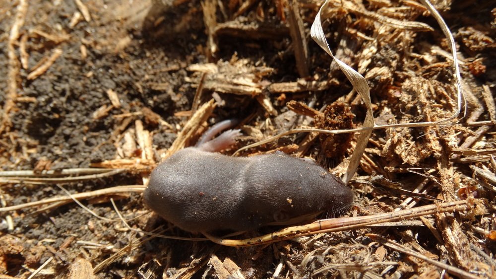 Photograph by Алексей Чурушкин