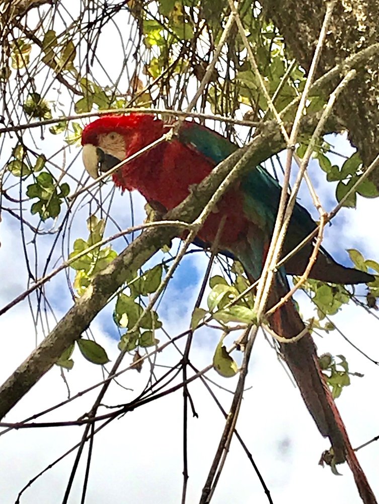 Photograph by Maria Aparecida Nogueira