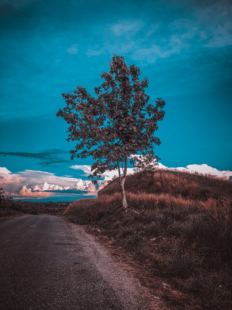 Photograph by Hasol lens