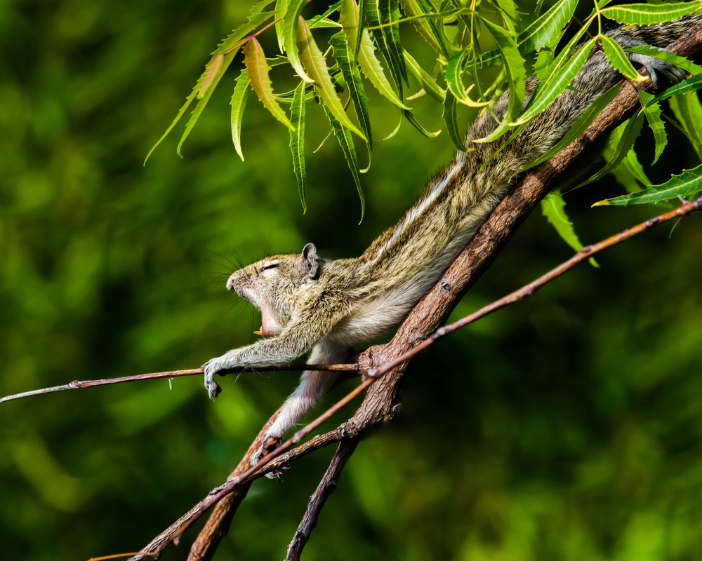 Photograph by James David Raj