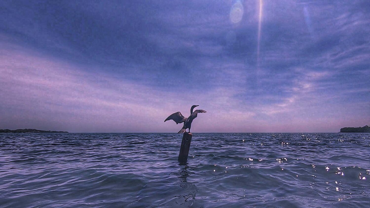 Rise And Fly