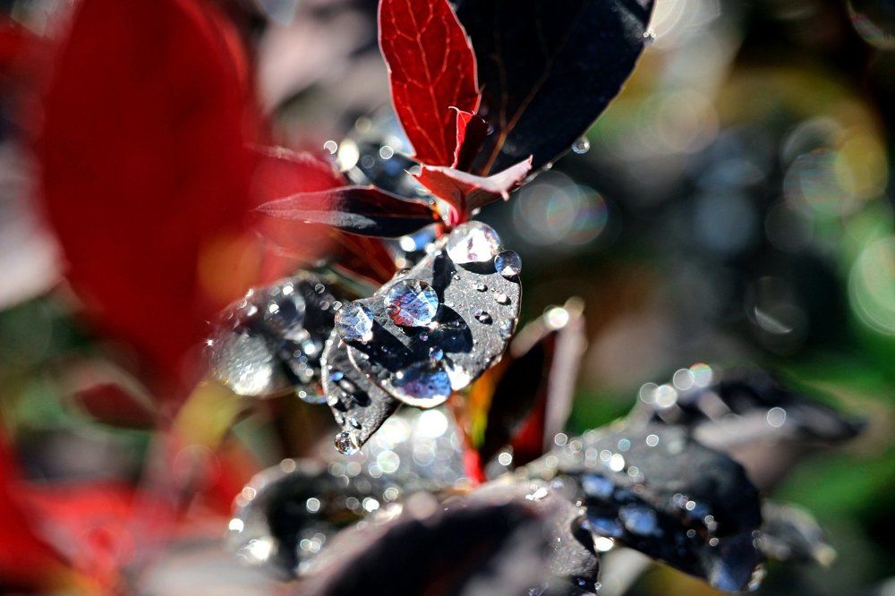 Photograph by Галина Мазур